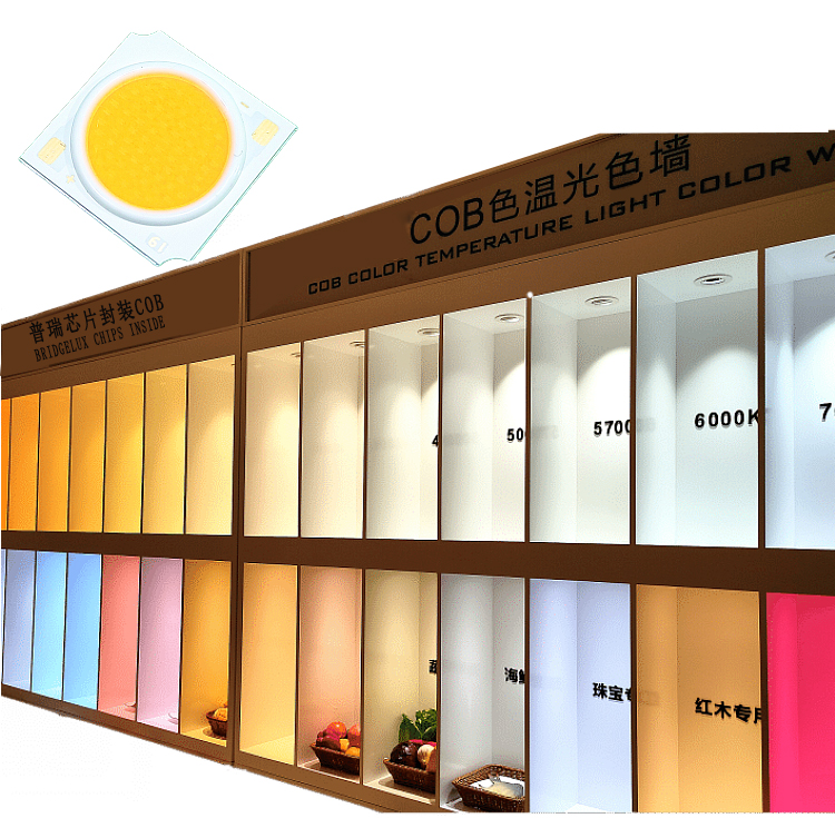 0704-COB光源LED燈珠-led軌道燈cob生鮮燈水果蔬菜服裝面包燈芯-05.jpg